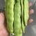 东北正宗油豆角，开锅就烂，无筋不柴。货源充足，价格合理，