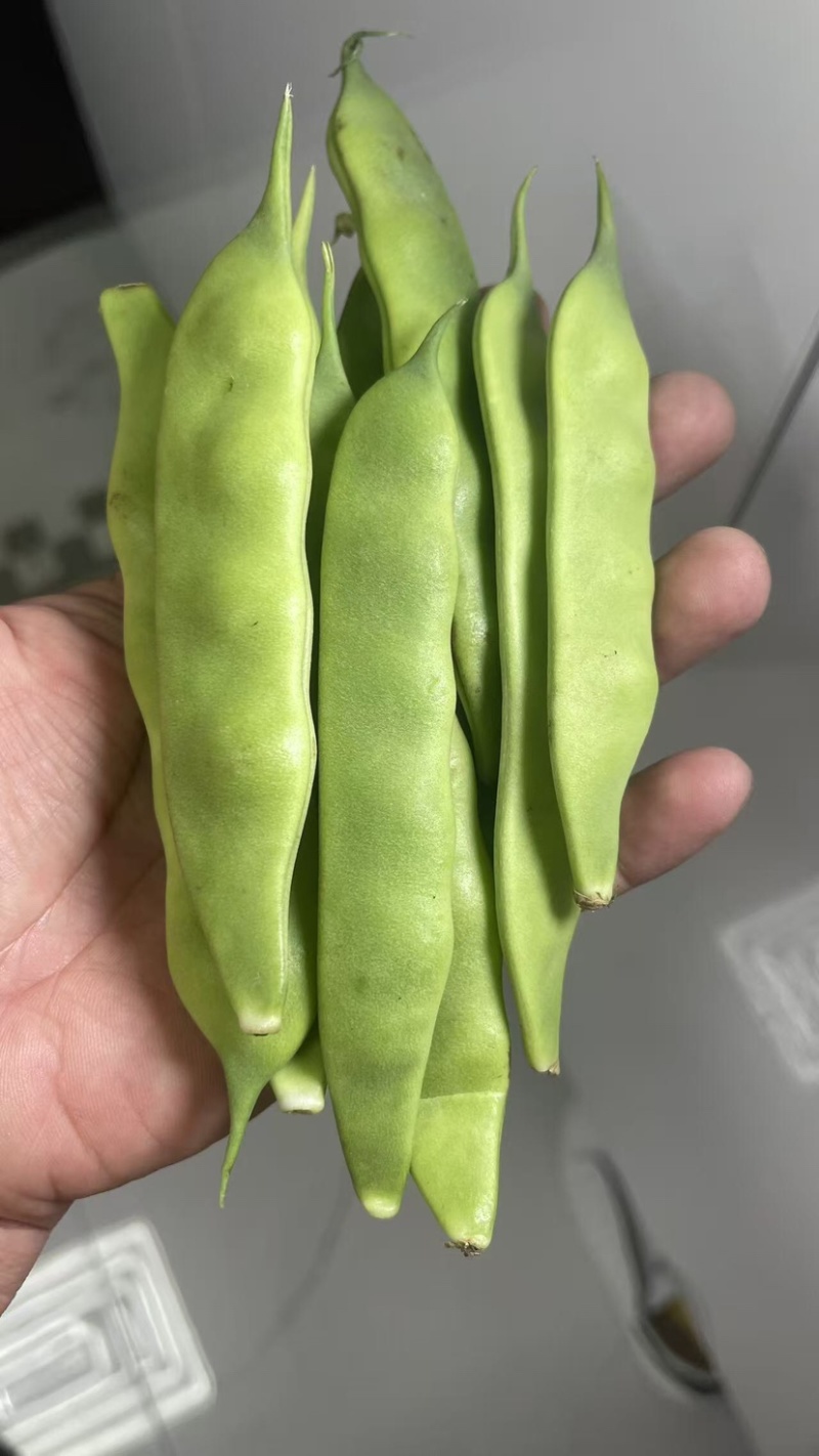 东北正宗油豆角，开锅就烂，无筋不柴。货源充足，价格合理，