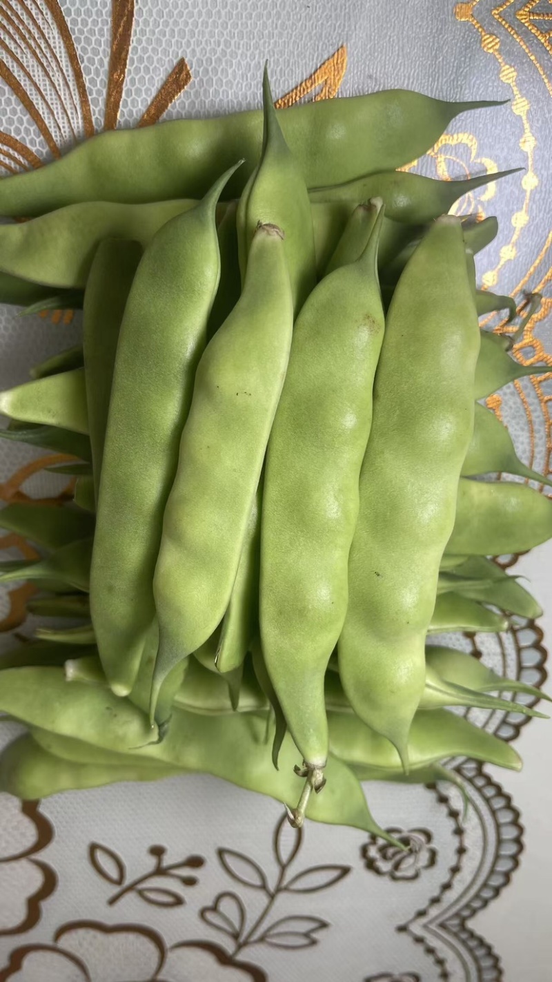 东北正宗油豆角，开锅就烂，无筋不柴。货源充足，价格合理，
