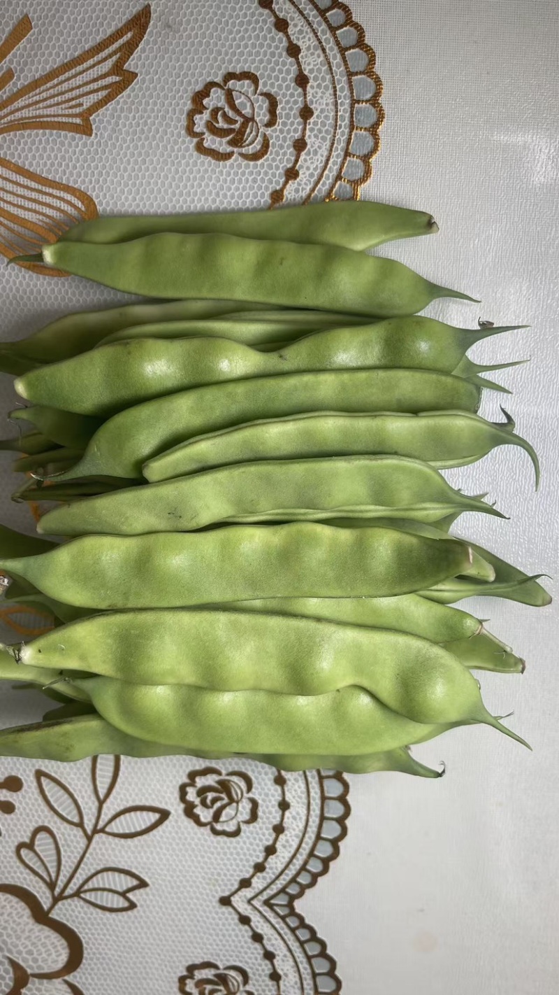 东北正宗油豆角，开锅就烂，无筋不柴。货源充足，价格合理，