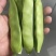 东北正宗油豆角，开锅就烂，无筋不柴。货源充足，价格合理，