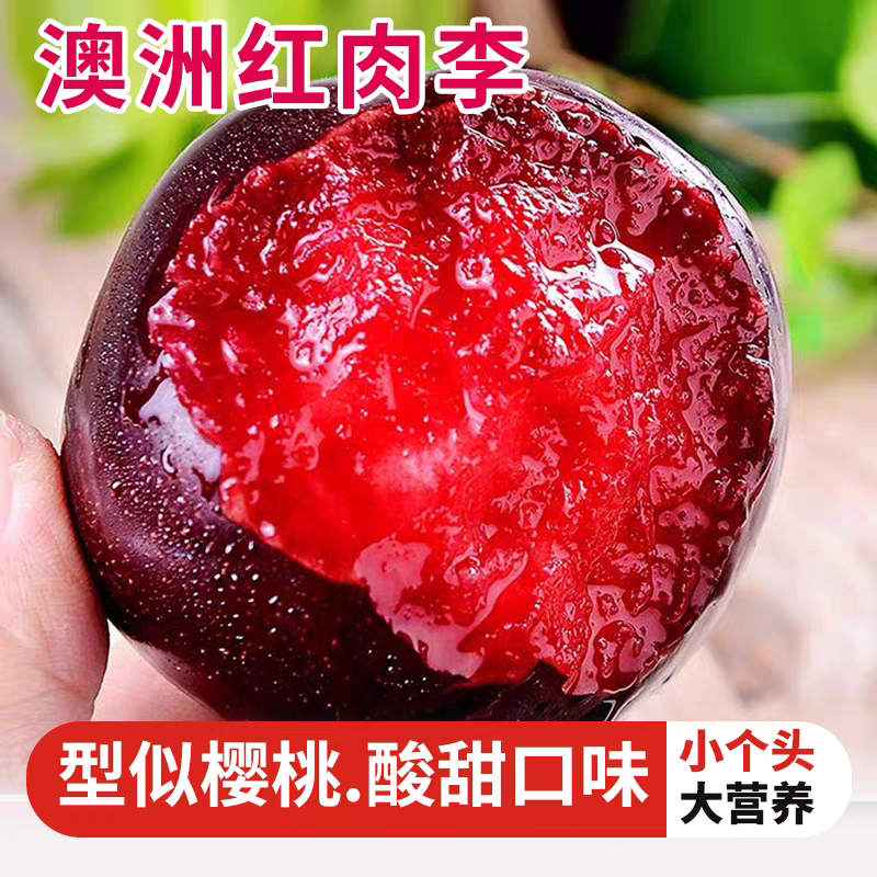 李子.澳洲红.八宝丹口感崔甜.个头均匀对接批发市场电商