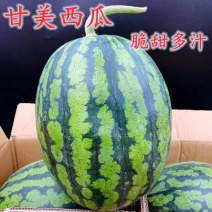 精品甘美4k西瓜，瓜甜糖度高，肉嫩皮薄，皮色靓丽全国发货