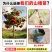 【基地直发】山楂树苗嫁接无核大果甜红子大金星山楂果树庭院耐寒