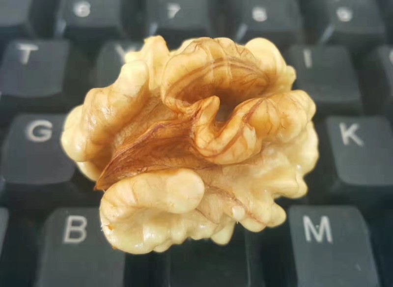 自家清香核桃仁冷轧核桃油批发出售