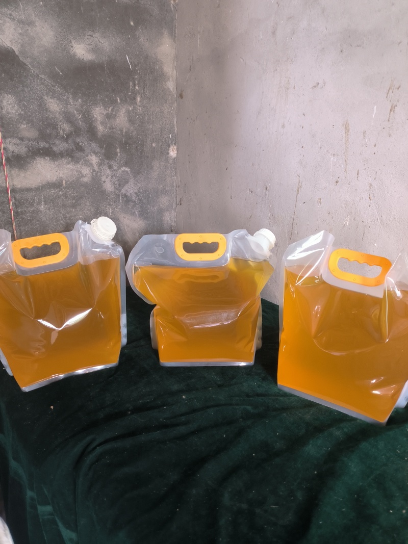 自家清香核桃仁冷轧核桃油批发出售