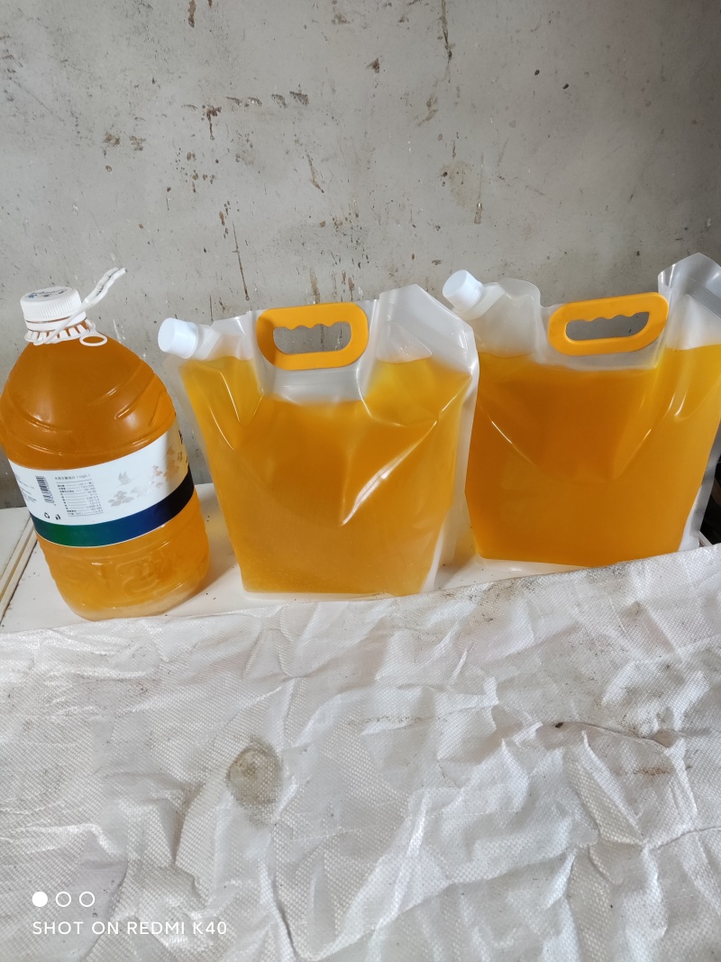 自家清香核桃仁冷轧核桃油批发出售