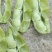 徐州精品毛豆大量上市