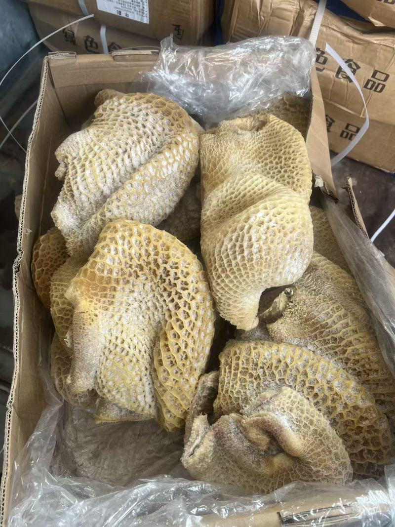 纯干金钱肚厂家直发品质保障品种齐全来电咨询优惠