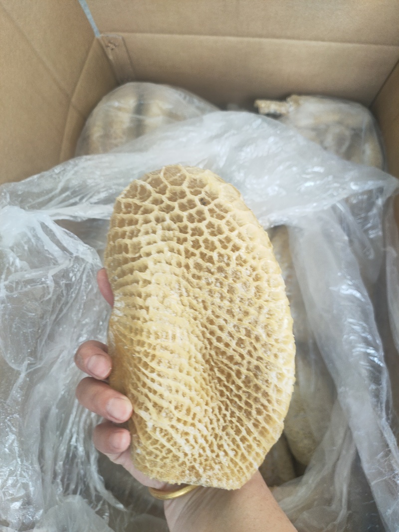 纯干金钱肚厂家直发品质保障品种齐全来电咨询优惠