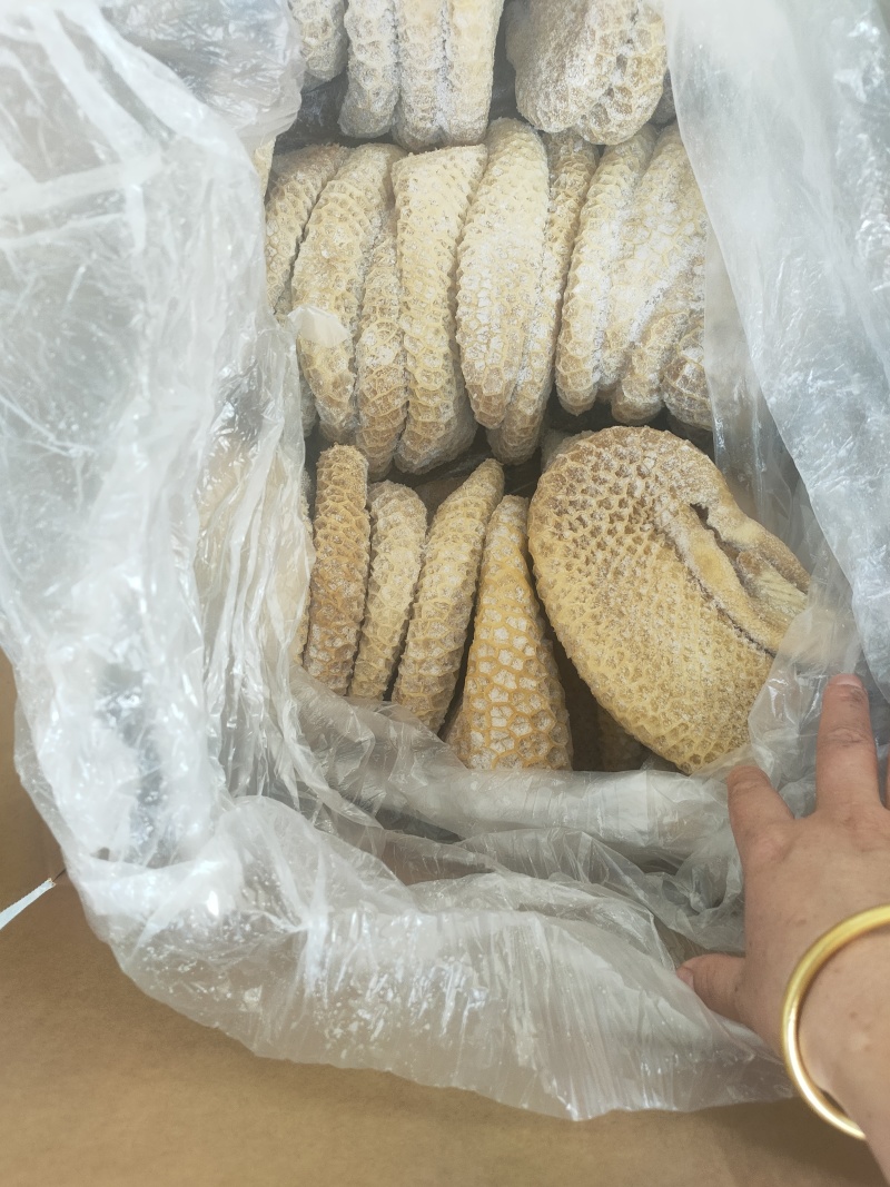 纯干金钱肚厂家直发品质保障品种齐全来电咨询优惠