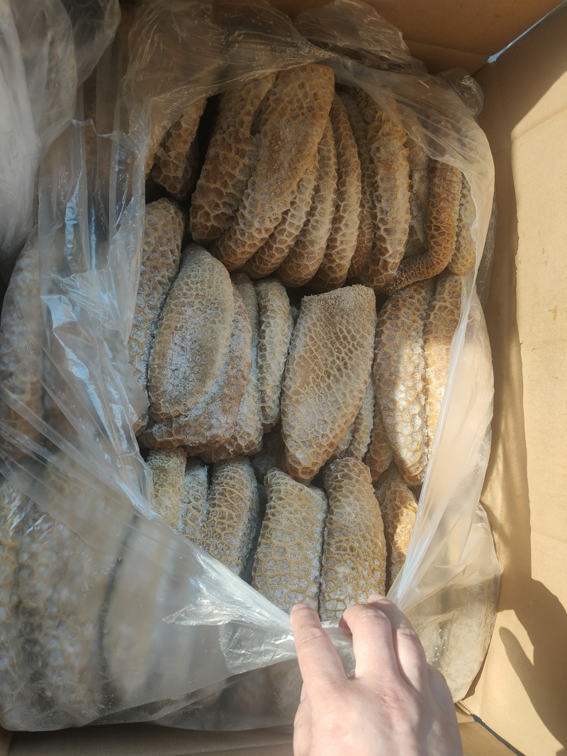 纯干金钱肚厂家直发品质保障品种齐全来电咨询优惠