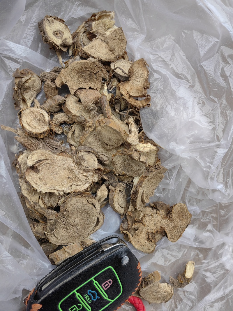 河北产地苦参，一手货源质量保证视频看货，全国发货