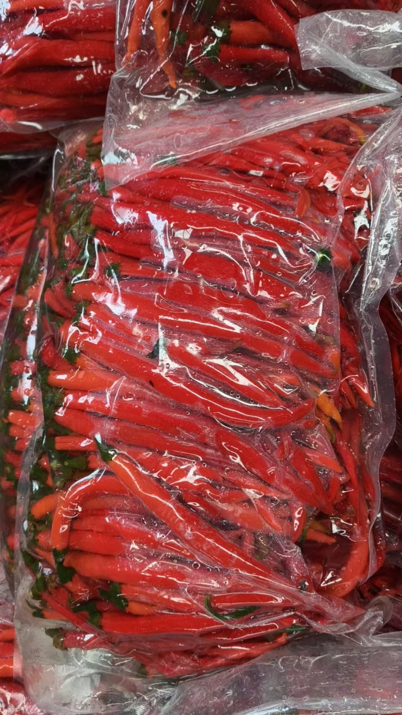 坛装发酵二荆条泡椒