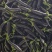 山东鄄城县布莱迪长茄烧烤茄大量上市，品质好，价格低
