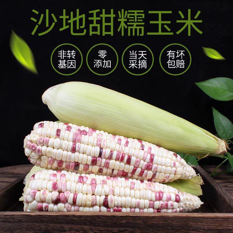 花糯玉米甜玉米水果玉米一手货源