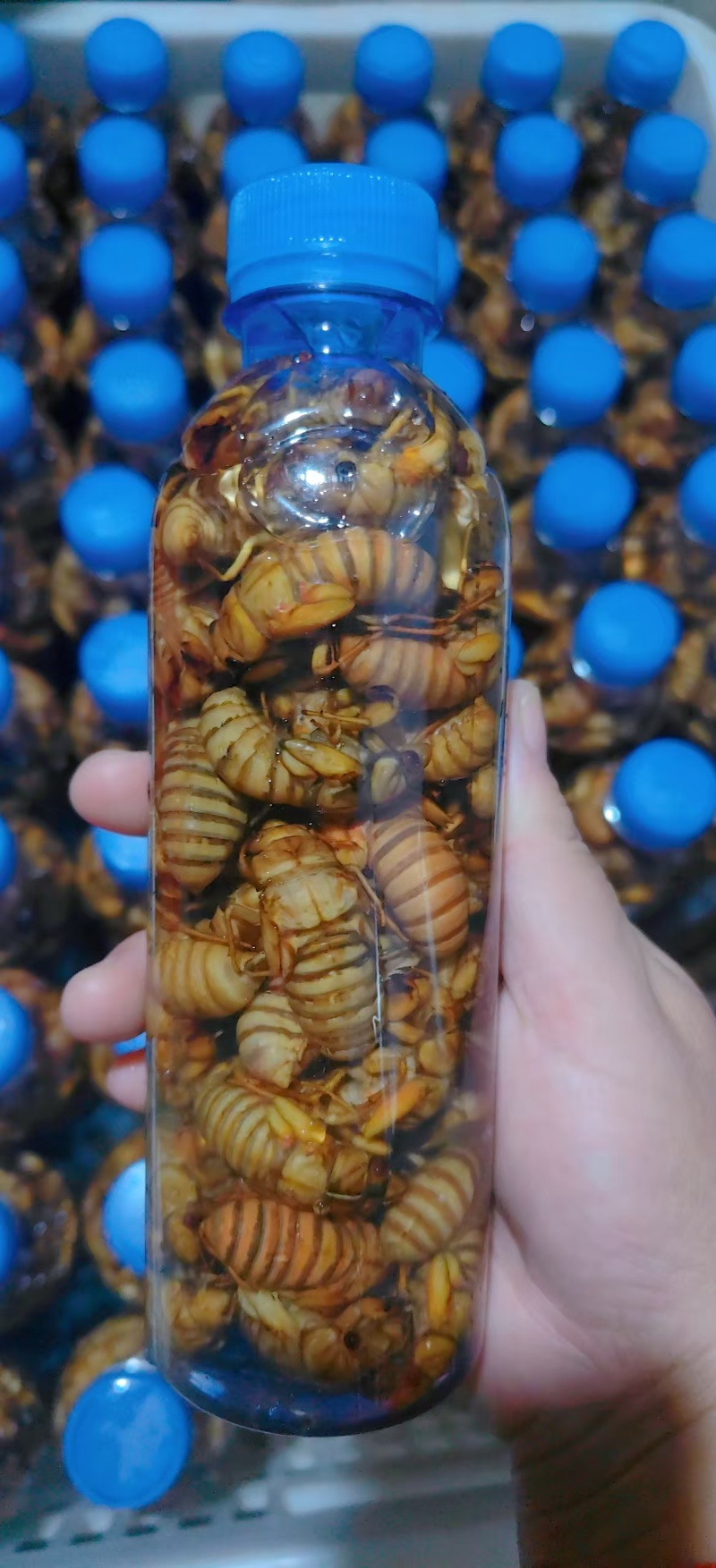 精品电商货