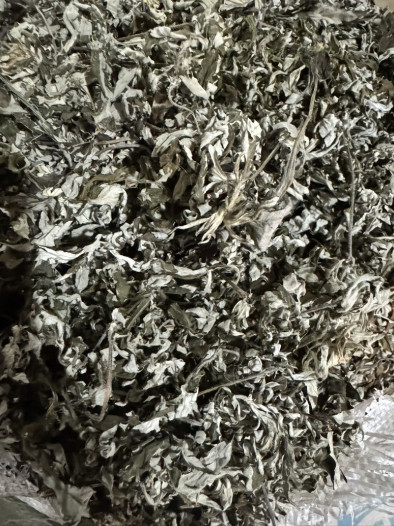 艾叶野生艾蒿产地直供量大从优