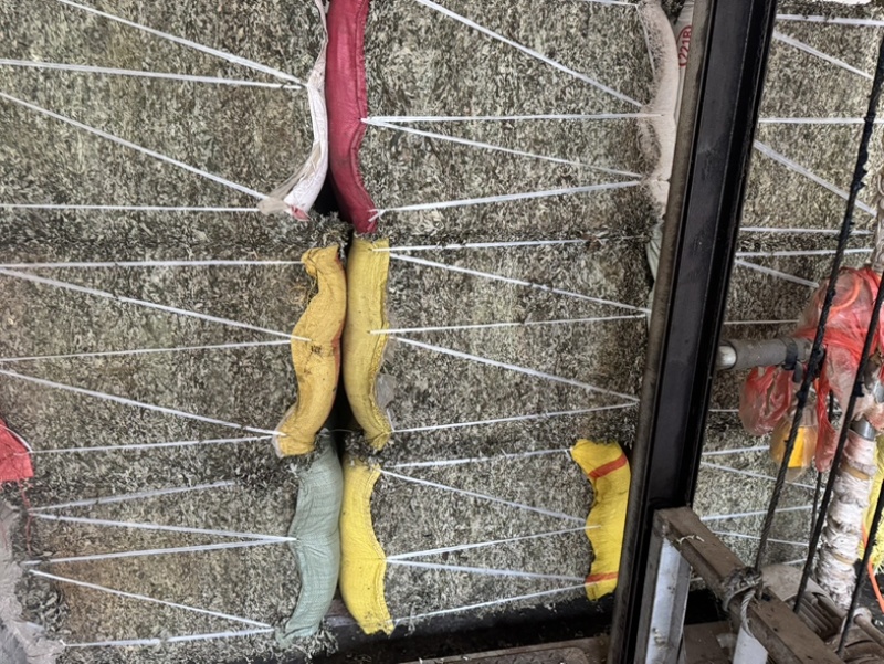 艾叶野生艾蒿产地直供量大从优