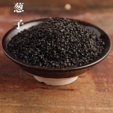 葱子/山东大葱籽药材