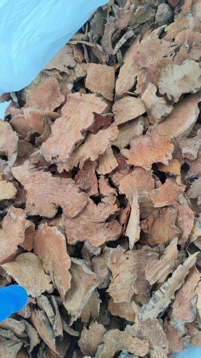 江西深山野生红肉金刚藤(菝葜)鲜货趁鲜切制干片，大货供应