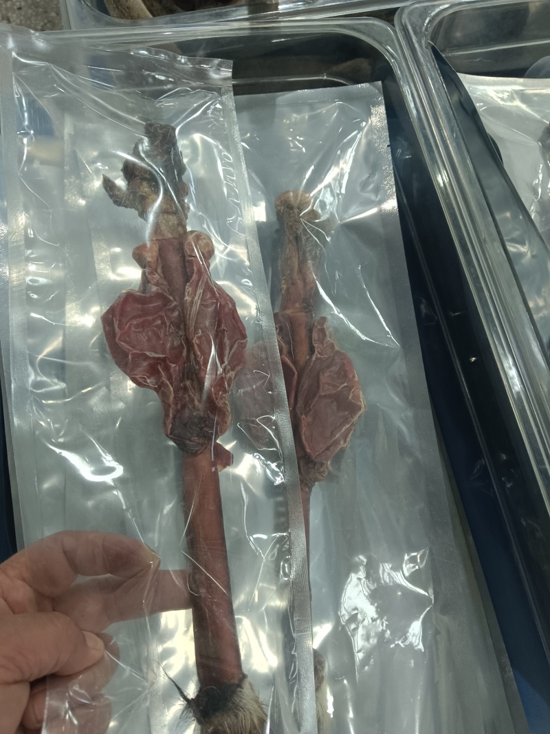 鹿鞭，有干有鲜，原产地发货，多大克数都有，可以大量供货