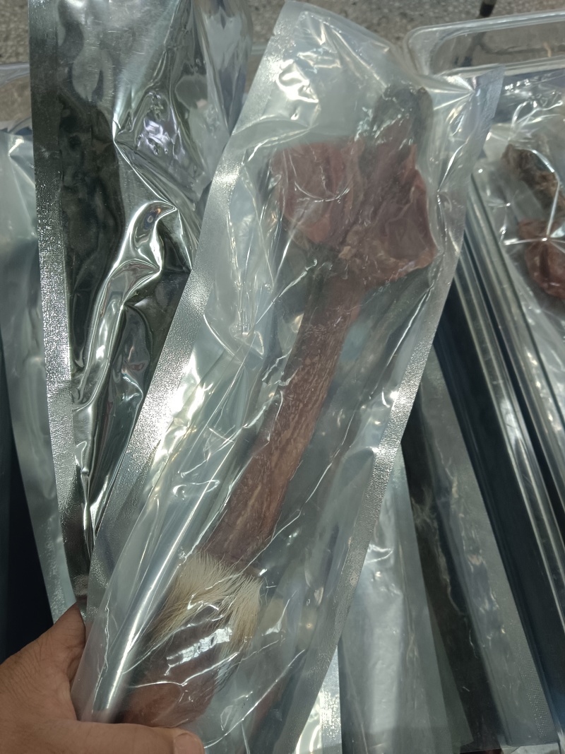 鹿鞭，有干有鲜，原产地发货，多大克数都有，可以大量供货