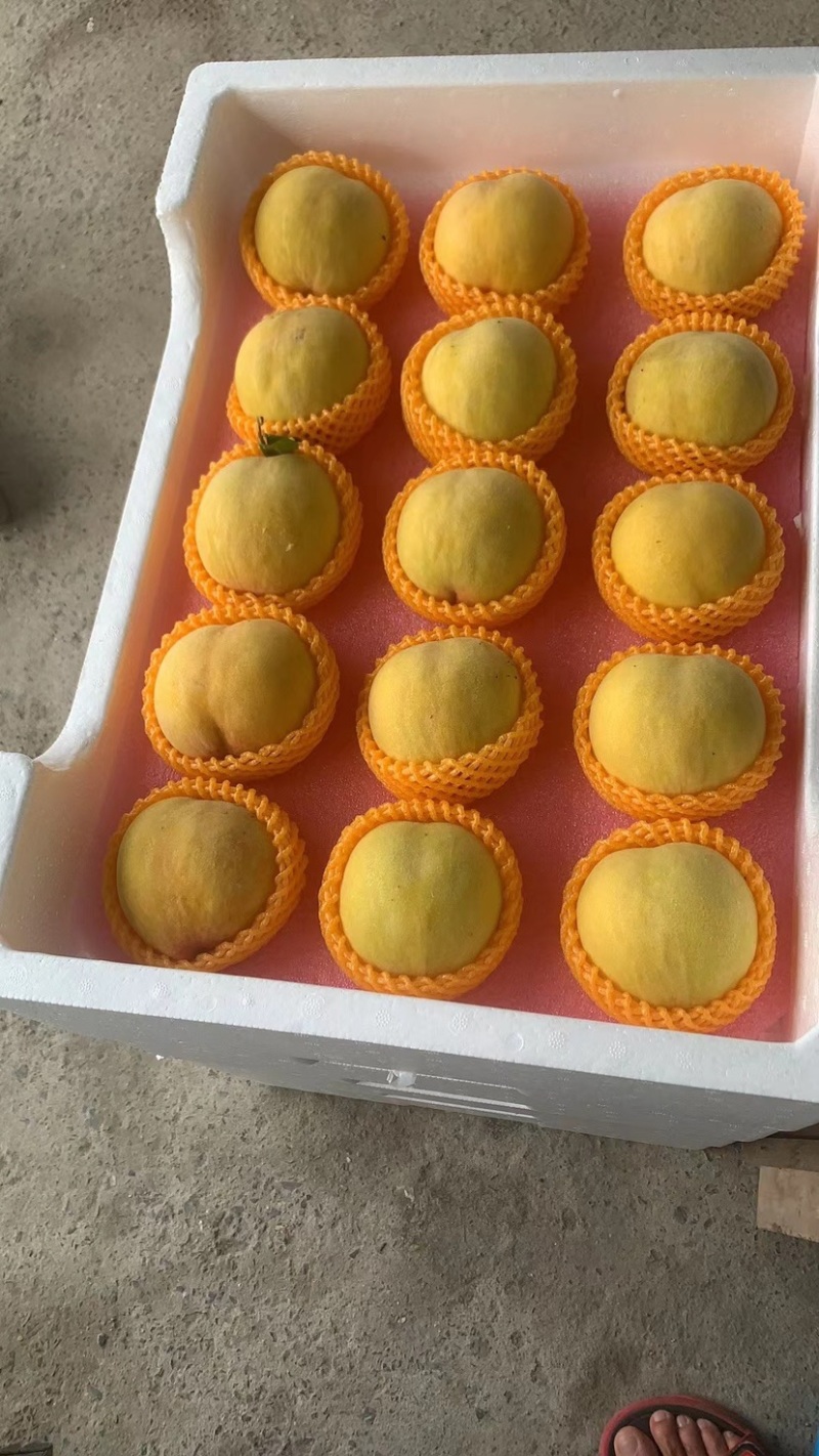 纯甜锦绣黄桃