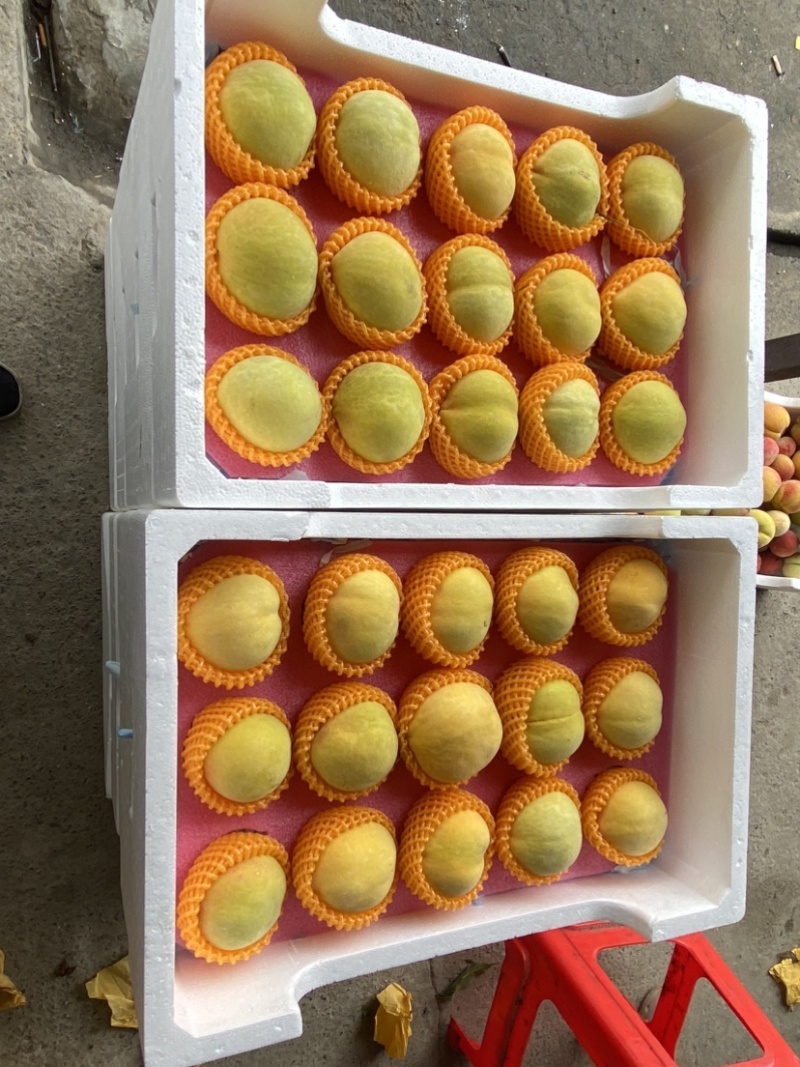 纯甜锦绣黄桃