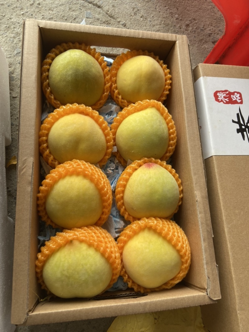 纯甜锦绣黄桃