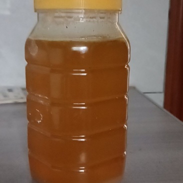 土蜂蜜