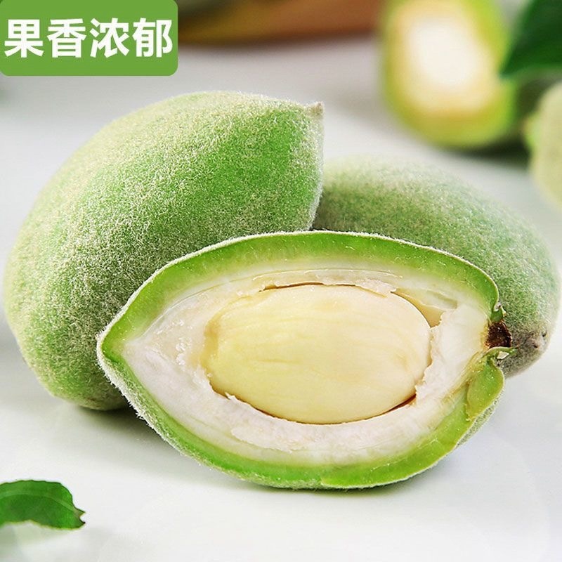 2025年现摘新鲜巴旦木扁桃大杏仁现摘带青壳零食网红**