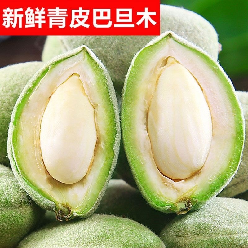 2025年现摘新鲜巴旦木扁桃大杏仁现摘带青壳零食网红**