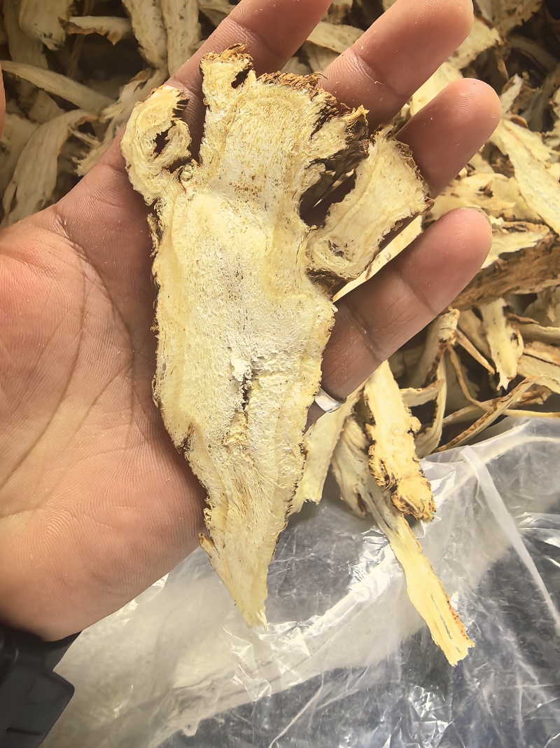 精品独活头片
