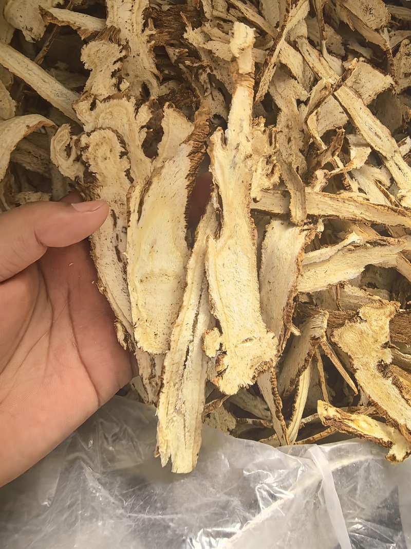 精品独活头片