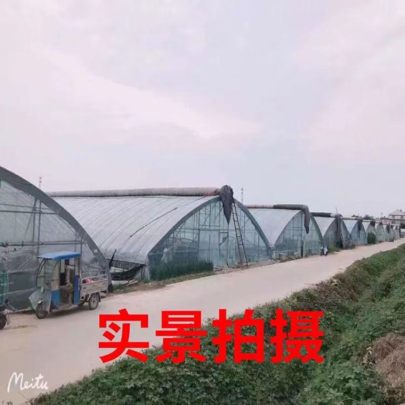 温室大棚地锚大棚地锚地锚地桩地沟拉线