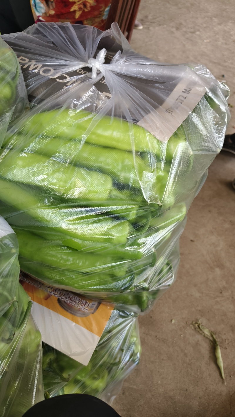 精品辣椒大量有货产地直发货源充足欢迎咨询