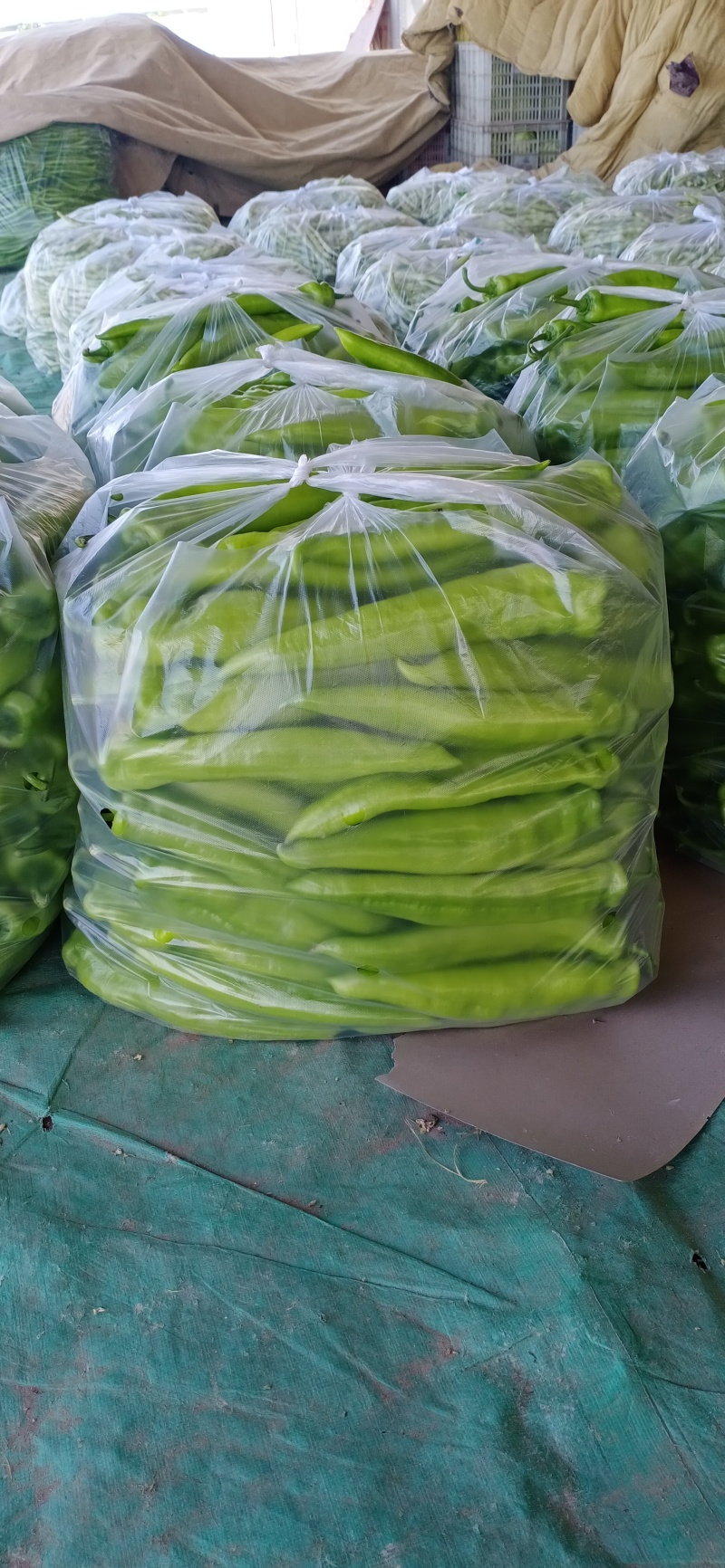 精品辣椒大量有货产地直发货源充足欢迎咨询