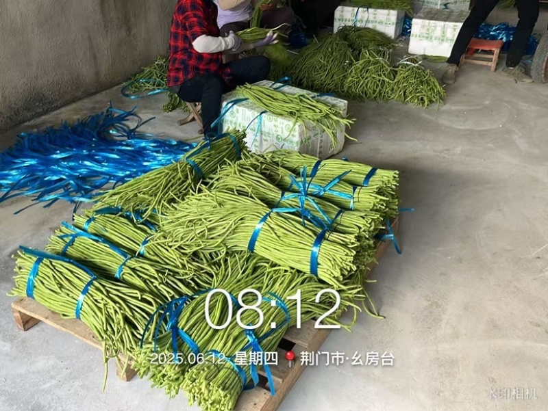 湖北长豆角，酱菜厂，市场均有货，欢迎实地考察
