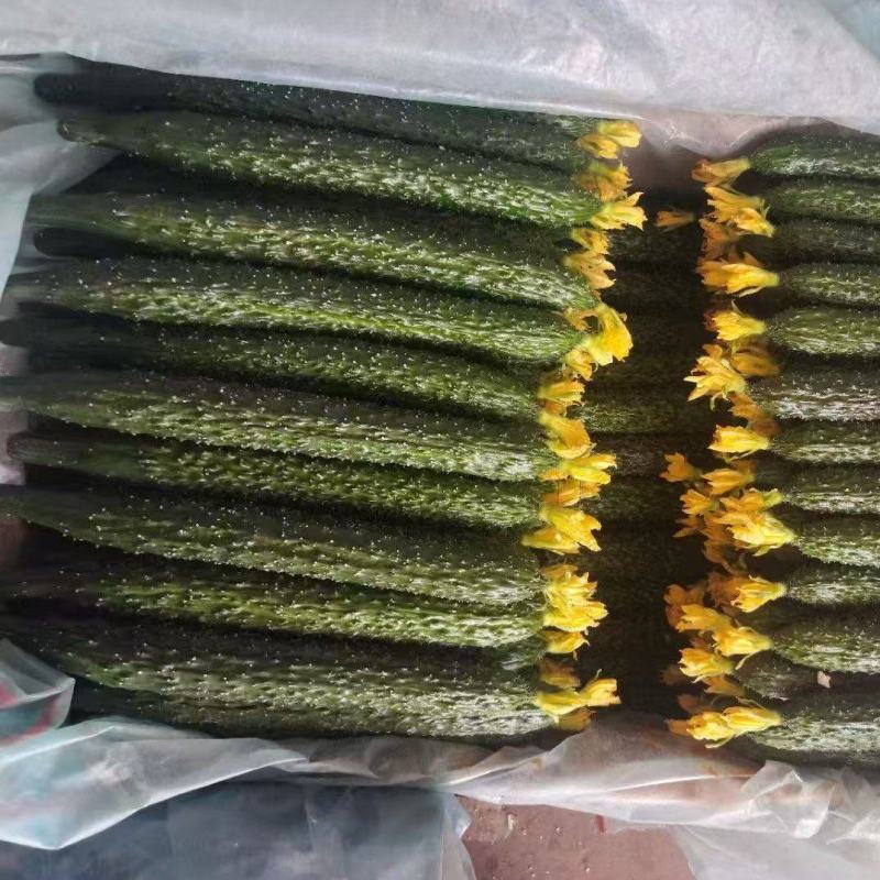 黄瓜