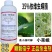 顺毅倍宁35%依维菌素虫螨腈茶小绿叶蝉小菜蛾