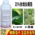 顺毅倍宁35%依维菌素虫螨腈茶小绿叶蝉小菜蛾