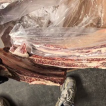 白饿051626牛排骨肉多牛排肋排适合各种火锅全国冷链批