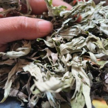 艾叶中药材碧江产地直供干燥纯净草本植物批发零售