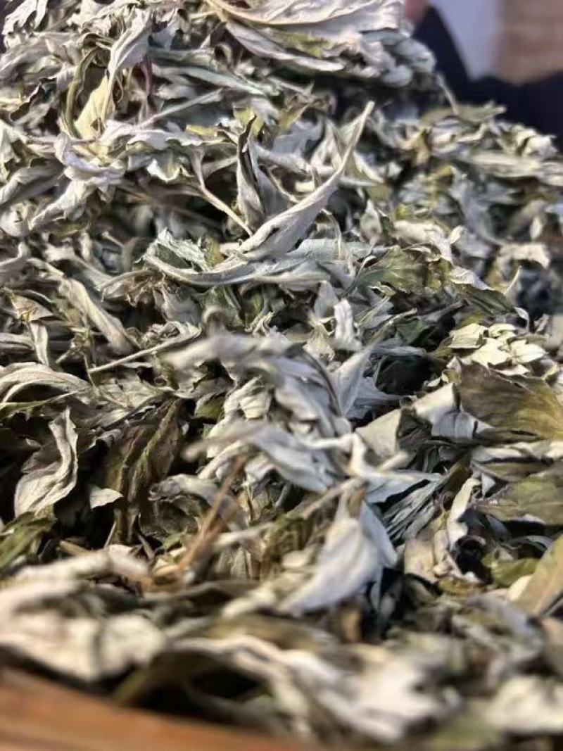 艾叶中药材碧江产地直供干燥纯净草本植物批发零售