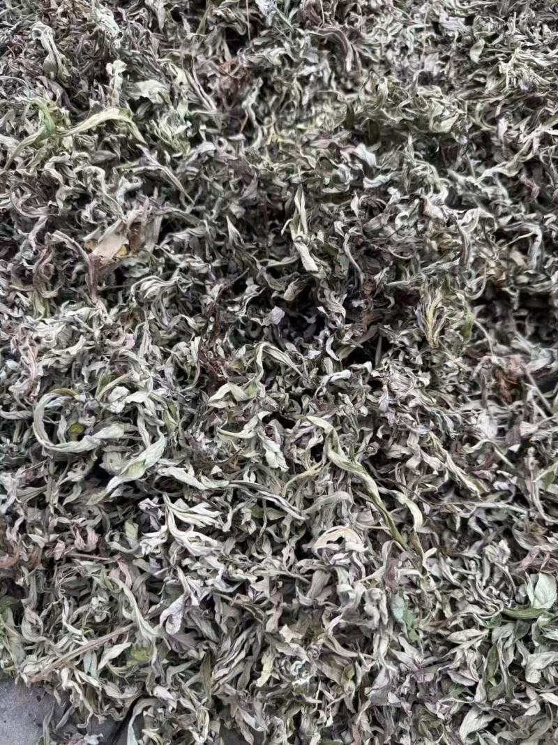 艾叶中药材碧江产地直供干燥纯净草本植物批发零售