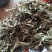 艾叶中药材碧江产地直供干燥纯净草本植物批发零售