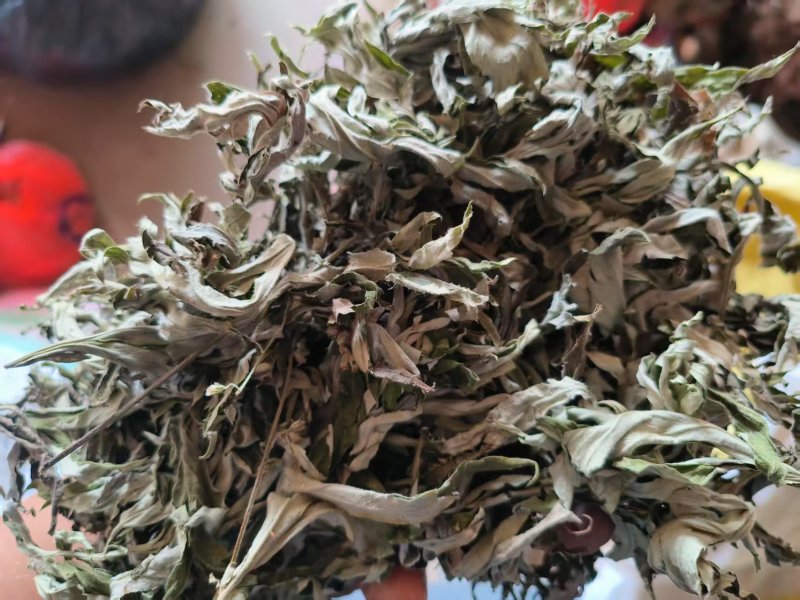 艾叶中药材碧江产地直供干燥纯净草本植物批发零售