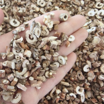 丹皮统货（祥泰药材栈）中药材批发零售实物拍摄量多从优