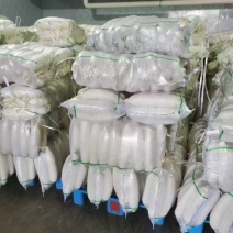 陕西榆林白萝卜大量上市，一手货源视频看货全国发货